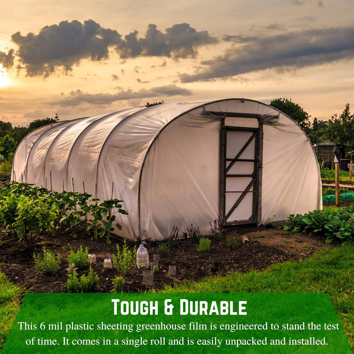 Farm Plastic Supply - Clear Greenhouse Plastic Sheeting - 6 mil - (54' x 75') - 4 Year UV Resistant Polyethylene Greenhouse Film, Hoop House Green House Cover for Gardening, Farming, Agriculture